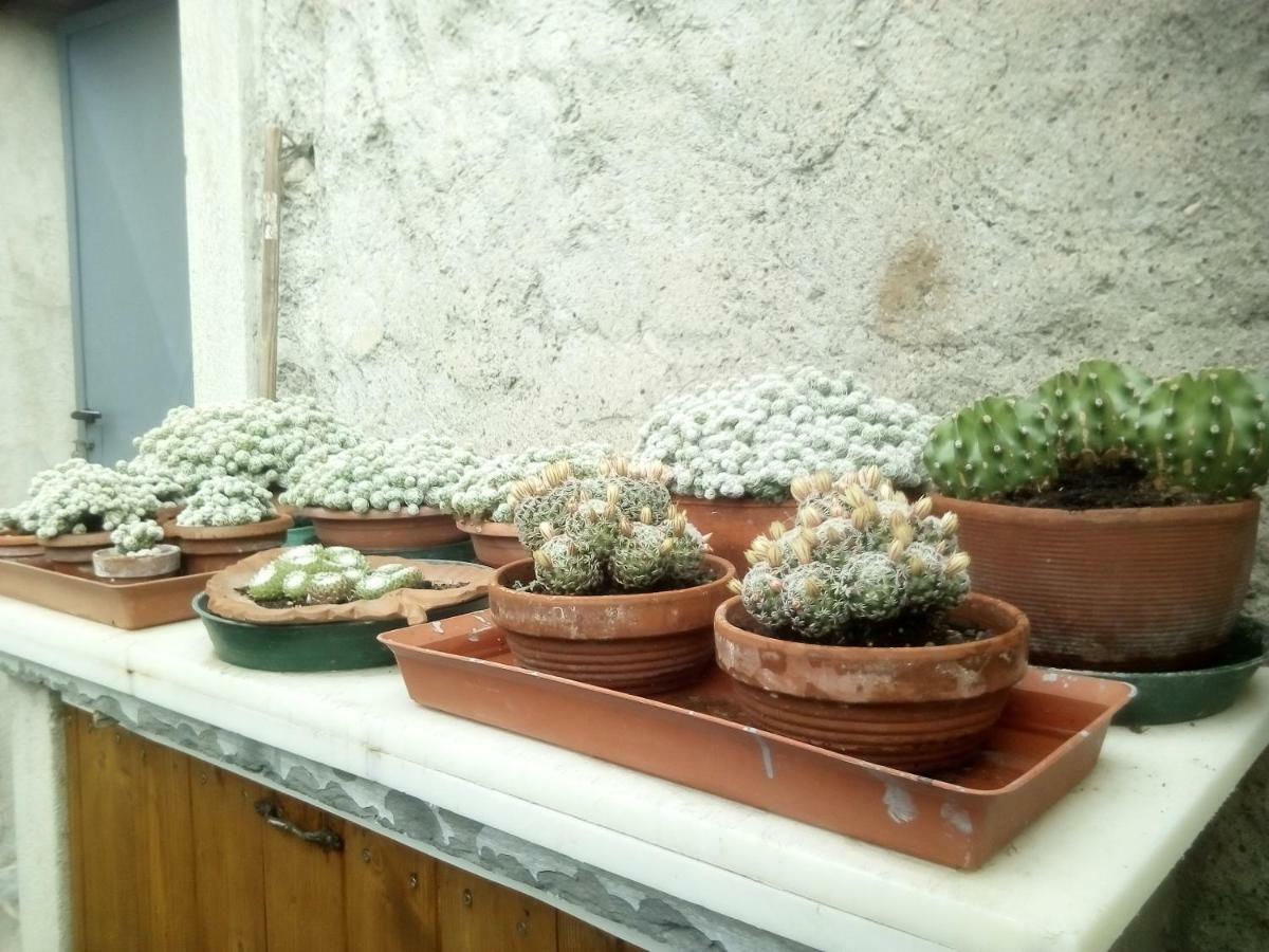 הוילה Pognana Lario Casa Del Borgo מראה חיצוני תמונה